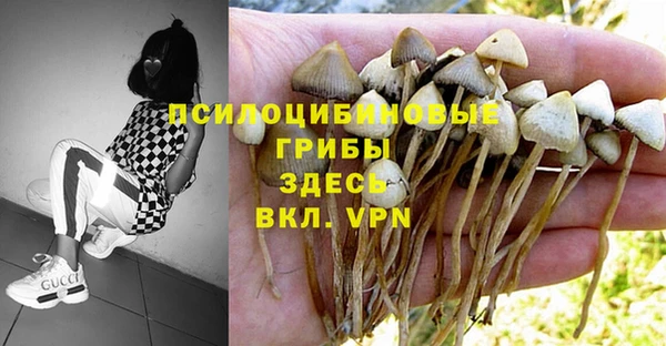 ALPHA-PVP Белоозёрский