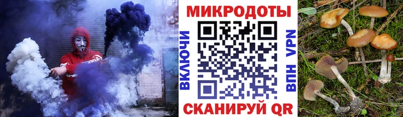 купить   Светлый  даркнет состав  Галлюциногенные грибы Psilocybine cubensis 